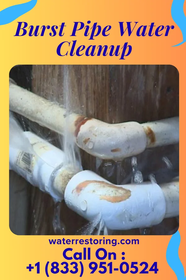 Burst Pipe Water Cleanup in Litchfield, NE