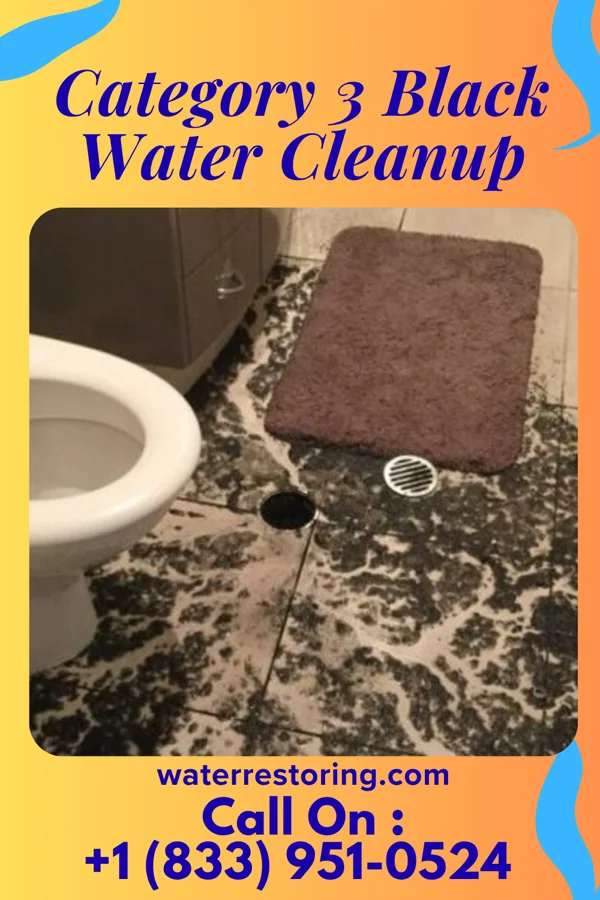 Category 3 Black Water Cleanup in Litchfield, NE