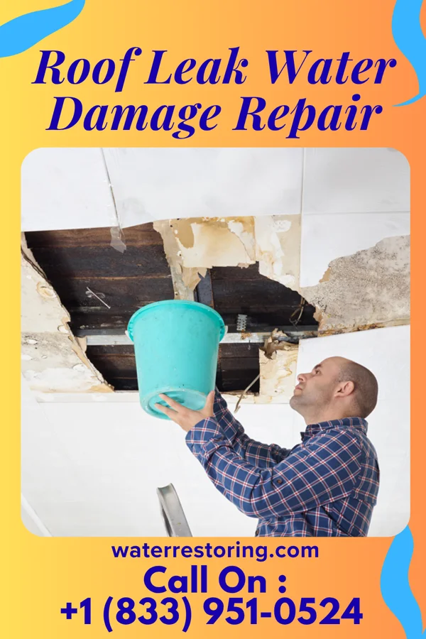 Roof Leak Water Damage Repair in Litchfield, NE